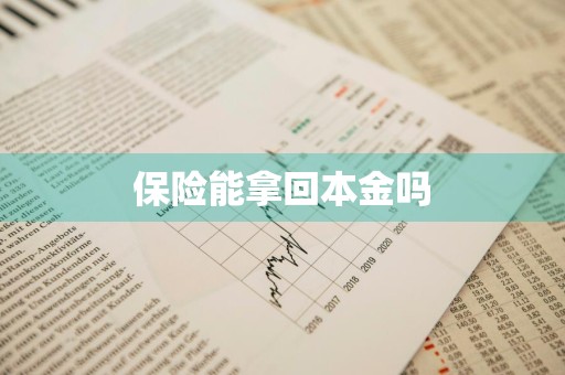 保险能拿回本金吗