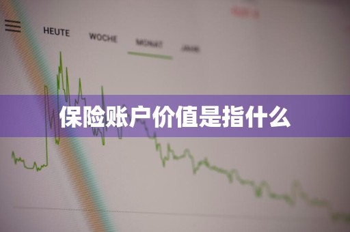 保险账户价值是指什么
