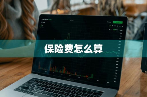 保险费怎么算