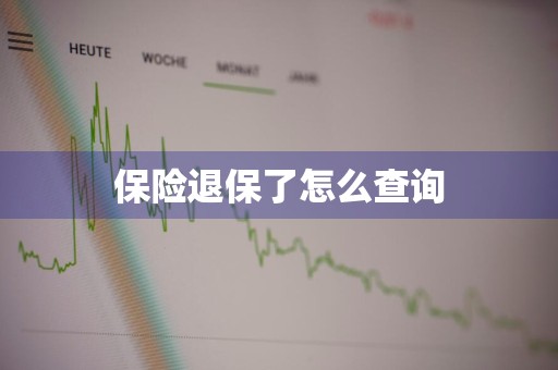 保险退保了怎么查询