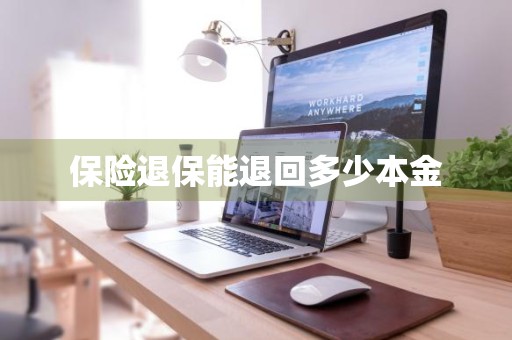 保险退保能退回多少本金