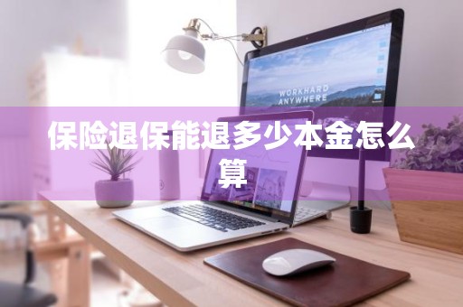 保险退保能退多少本金怎么算