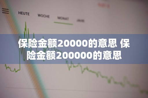 保险金额20000的意思 保险金额200000的意思