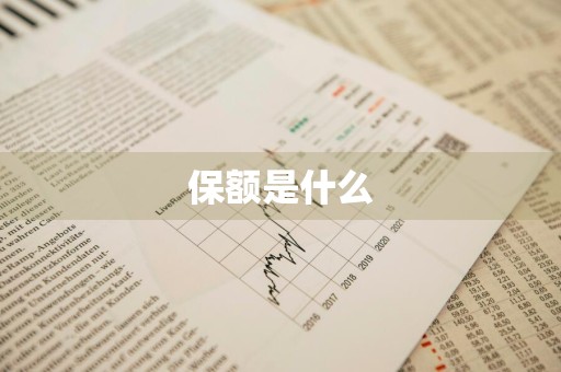 保额是什么
