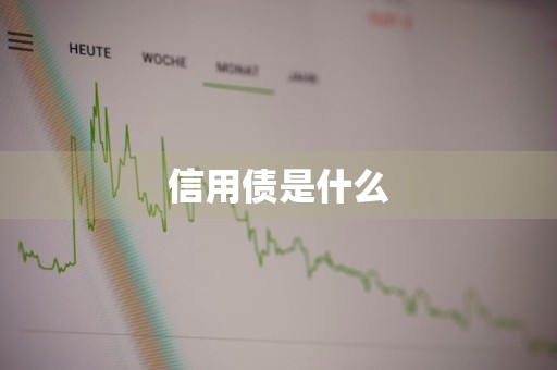 信用债是什么