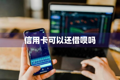 信用卡可以还借呗吗