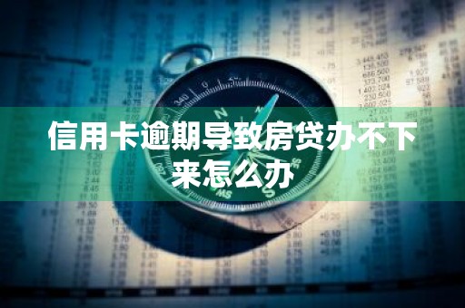 信用卡逾期导致房贷办不下来怎么办