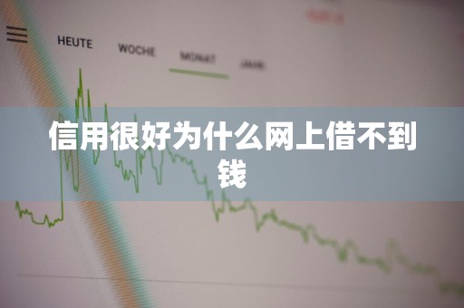 信用很好为什么网上借不到钱