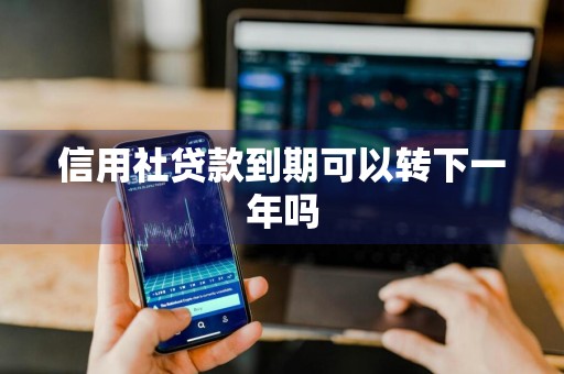 信用社贷款到期可以转下一年吗