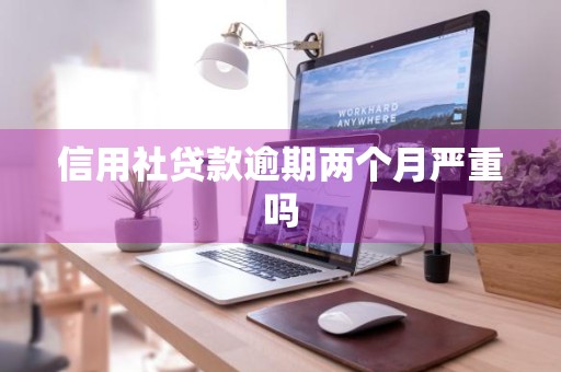 信用社贷款逾期两个月严重吗