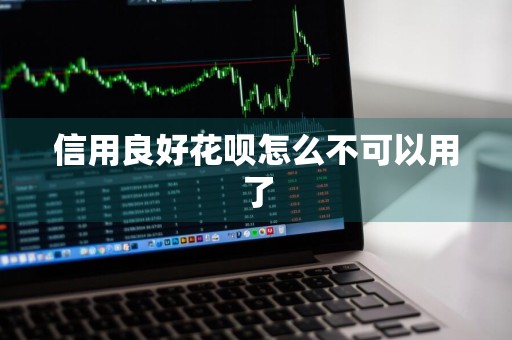 信用良好花呗怎么不可以用了