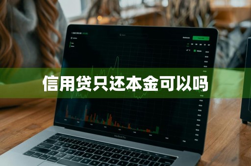 信用贷只还本金可以吗