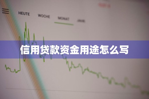 信用贷款资金用途怎么写