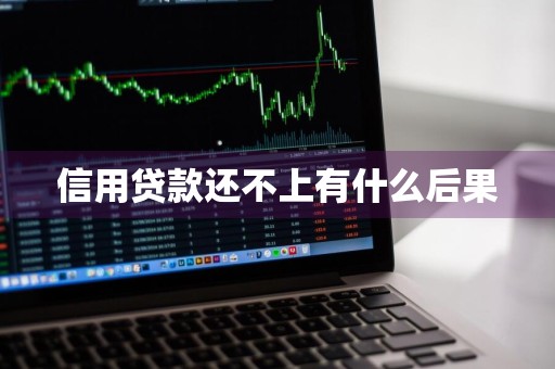 信用贷款还不上有什么后果