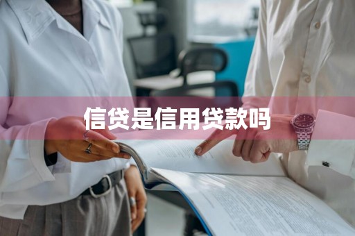 信贷是信用贷款吗