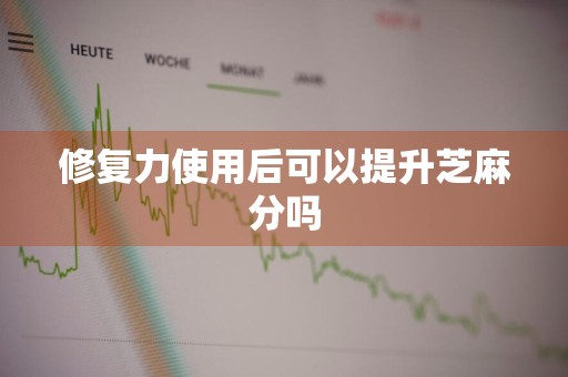 修复力使用后可以提升芝麻分吗