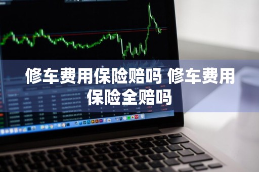 修车费用保险赔吗 修车费用保险全赔吗