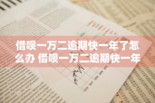 借呗一万二逾期快一年了怎么办 借呗一万二逾期快一年了怎么办呢