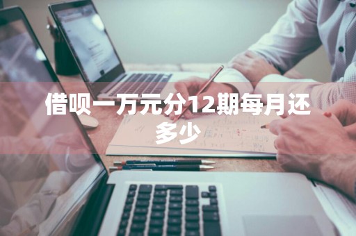 借呗一万元分12期每月还多少