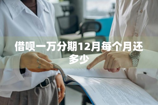 借呗一万分期12月每个月还多少