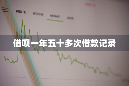 借呗一年五十多次借款记录