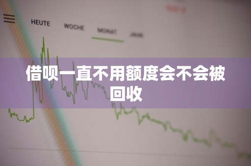 借呗一直不用额度会不会被回收