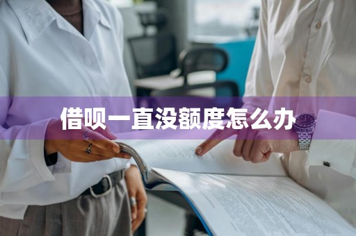 借呗一直没额度怎么办
