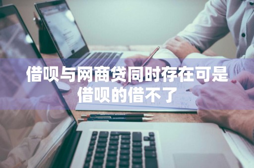 借呗与网商贷同时存在可是借呗的借不了
