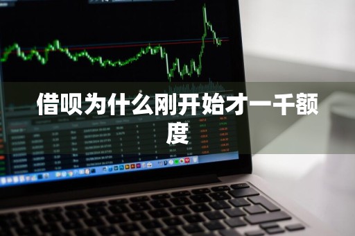 借呗为什么刚开始才一千额度