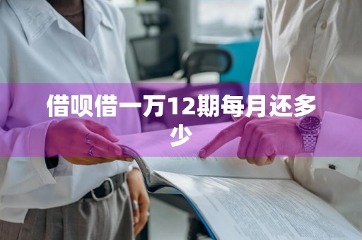 借呗借一万12期每月还多少