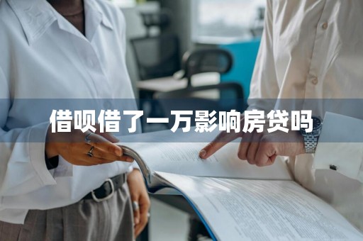 借呗借了一万影响房贷吗
