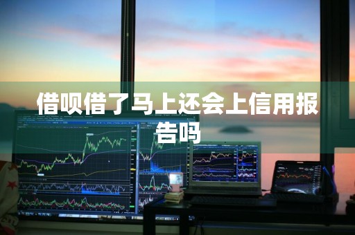 借呗借了马上还会上信用报告吗