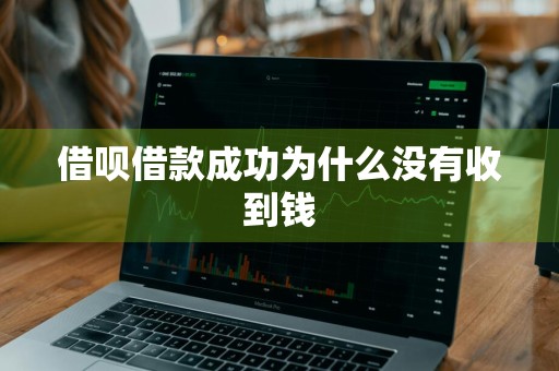 借呗借款成功为什么没有收到钱