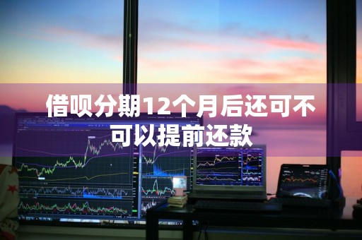 借呗分期12个月后还可不可以提前还款