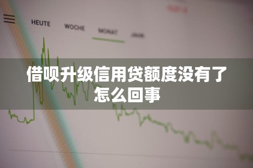 借呗升级信用贷额度没有了怎么回事