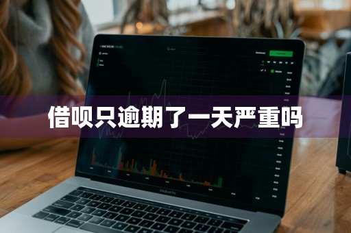 借呗只逾期了一天严重吗