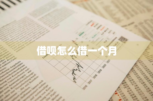 借呗怎么借一个月