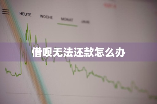 借呗无法还款怎么办