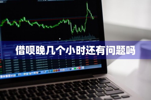 借呗晚几个小时还有问题吗