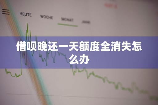 借呗晚还一天额度全消失怎么办