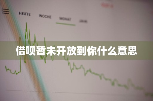 借呗暂未开放到你什么意思