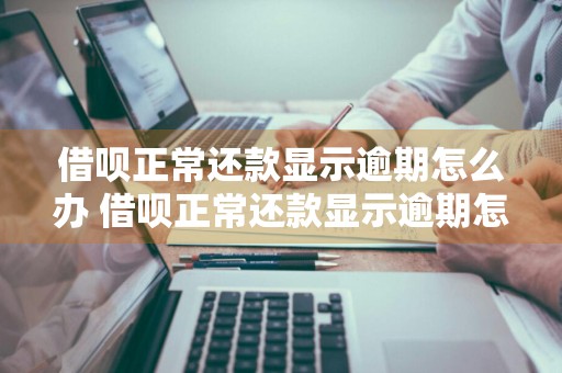 借呗正常还款显示逾期怎么办 借呗正常还款显示逾期怎么办呢