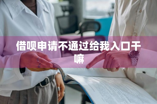 借呗申请不通过给我入口干嘛