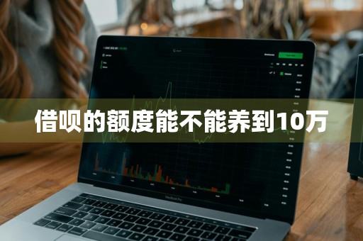 借呗的额度能不能养到10万