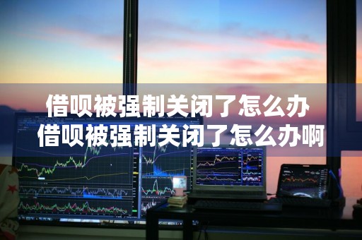 借呗被强制关闭了怎么办 借呗被强制关闭了怎么办啊