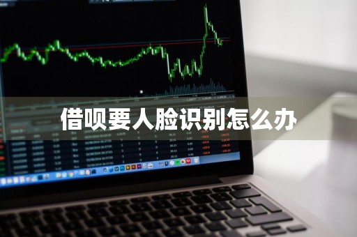借呗要人脸识别怎么办