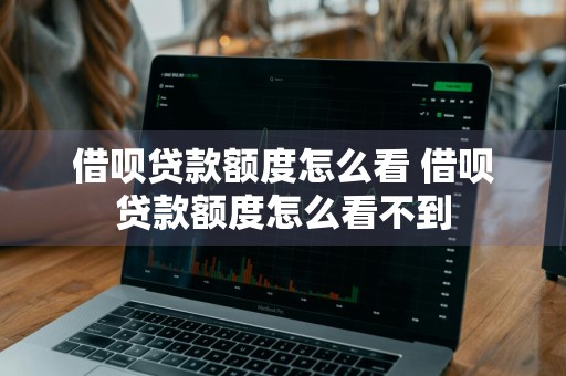 借呗贷款额度怎么看 借呗贷款额度怎么看不到