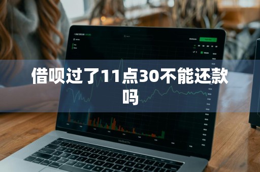 借呗过了11点30不能还款吗
