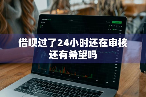借呗过了24小时还在审核还有希望吗