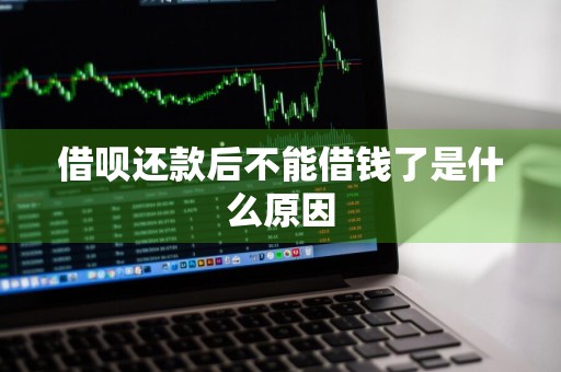 借呗还款后不能借钱了是什么原因